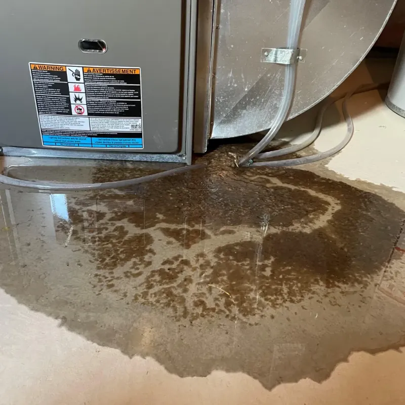 Appliance Leak Cleanup in Weaver, AL